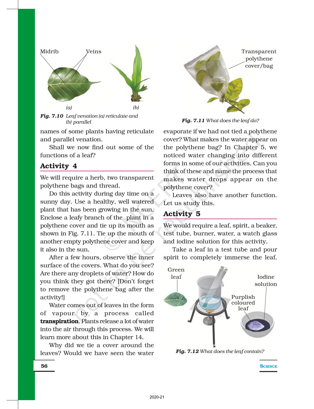 Getting To Know Plants NCERT Book Of Class 6 Science